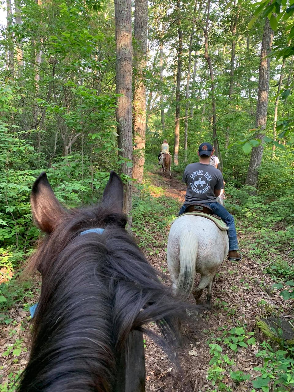 Horse Back Riding- Montgomery's Outdoor Adventure